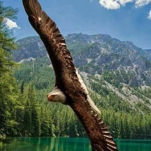 Meet your Posher, Oskär